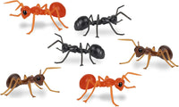 ANTS! ® Novelty Insect Bugs 3'' ANTS (Box of 6)  - Archie McPhee