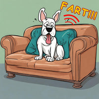 💨 Fart Machine #2 with Remote + 36 Glass Stink Bombs | Combo GaG Prank Set 💨