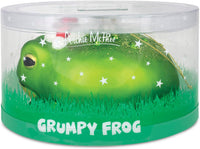 Grumpy Frog Ornament - Chriistmas Holiday Art Hand-Blown Glass ® Archie McPhee