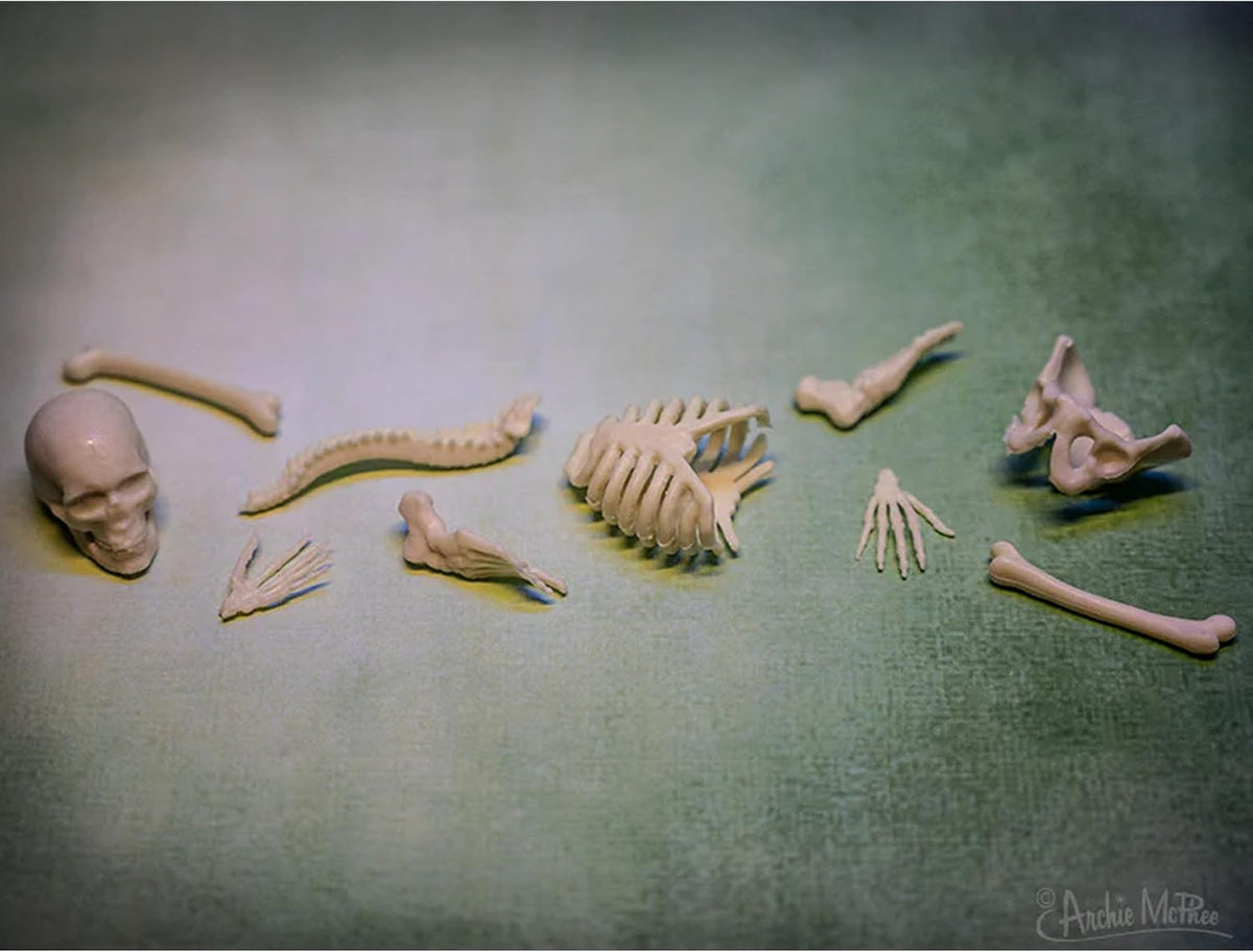 Itty Bitty Human Bones (Bag of 10) - Glow in Dark Figurines Toy - Archie McPhee