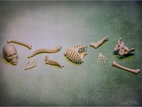 Itty Bitty Human Bones (Bag of 10) - Glow in Dark Figurines Toy - Archie McPhee