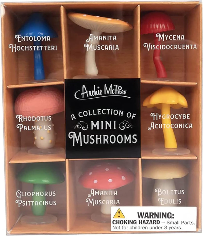 Delight in the goblincore charm of "A Collection of Mini Garden Mushrooms" by Archie McPhee, featuring eight labeled tiny fairy figurines like Amanita Muscaria and Boletus Edulis. Perfect for crafting your fairy circle; not suitable for children under three due to small parts.