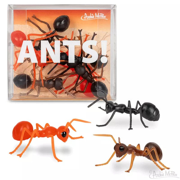 ANTS! ® Novelty Insect Bugs 3'' ANTS (Box of 6)  - Archie McPhee