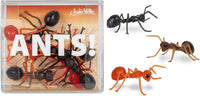 ANTS! ® Novelty Insect Bugs 3'' ANTS (Box of 6)  - Archie McPhee