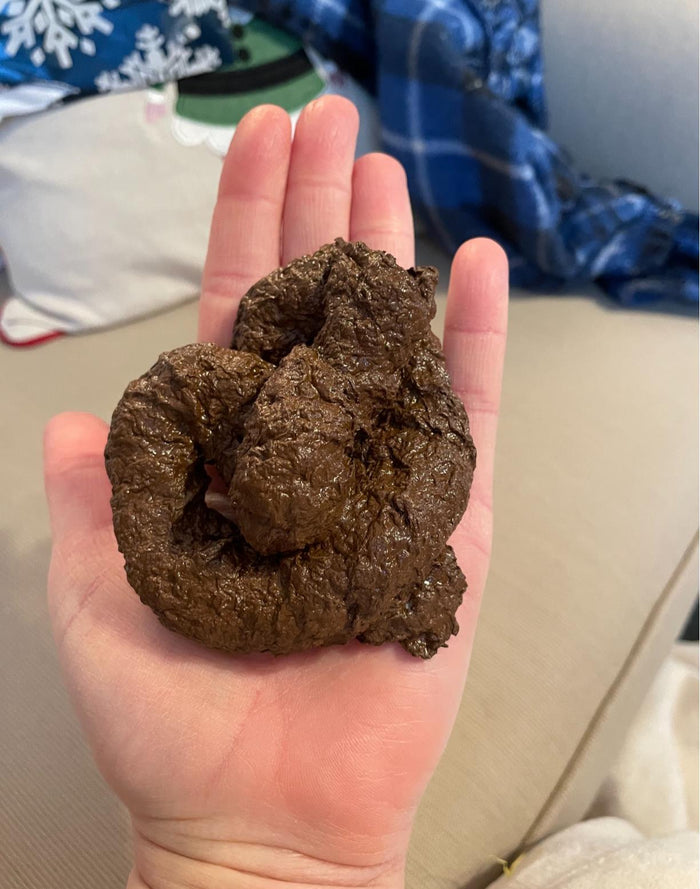 HIGH QUALITY Fake Dog Poop Poo Realistic Doggy Doo Doo Dirt Joke Gag Crap Pile