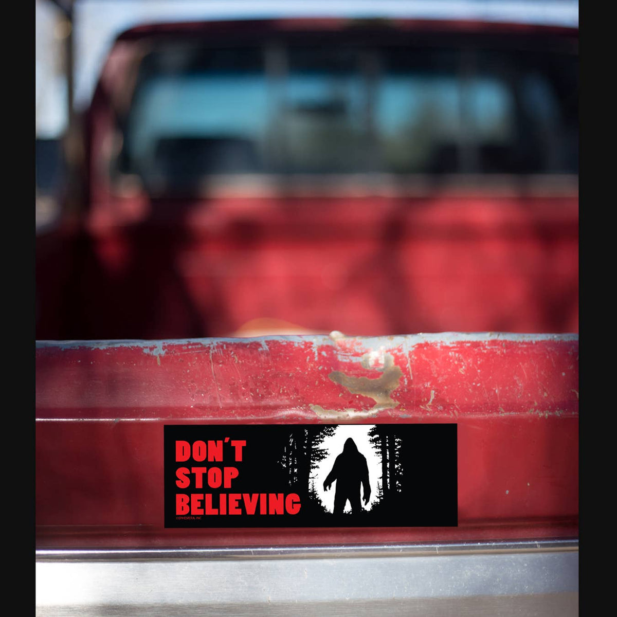 🦶"Don't Stop Believing!" Bigfoot Sasquatch 👀 Bumper Car Magnet | Made in USA