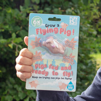 Grow A Pig Toy - Just Add Water 600% Larger! Piggy Child Stocking Stuffer