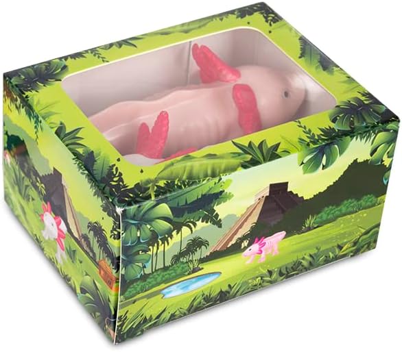 Box of Axolotls - Family of 4 - Mini Assorted Figurine Toy Set - Archie McPhee