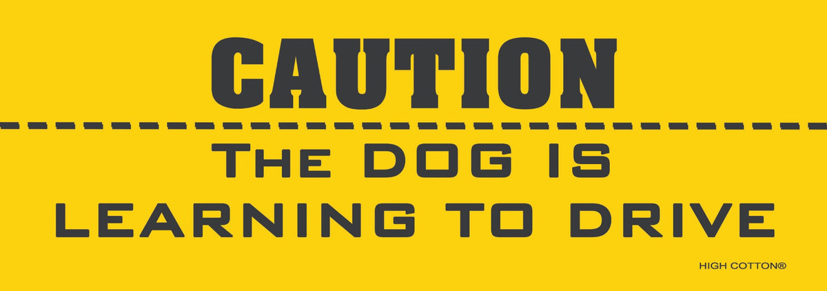 ⚠️"CAUTION: Dog is Learning to Drive" 🐶 Funny Bumper Car Magnet - Made in USA