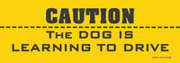 ⚠️"CAUTION: Dog is Learning to Drive" 🐶 Funny Bumper Car Magnet - Made in USA