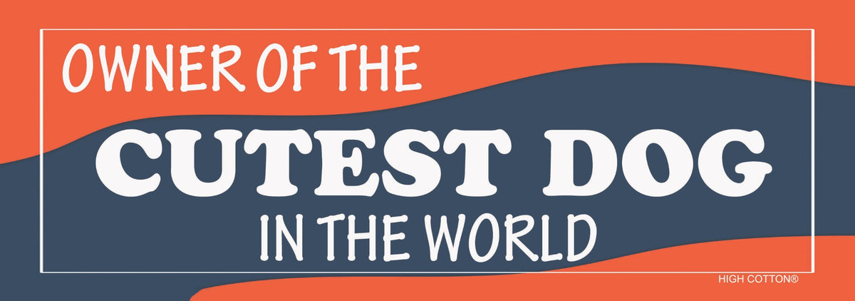 "Owner of Cuttest Dog In The World" 🌍 🐶 Funny Bumper Car Magnet - Made in USA