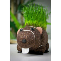 Grow Your own HAIRY BEAVER Chia Pet Plant - Funny Gag Novelty Home Gift