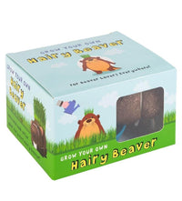 Grow Your own HAIRY BEAVER Chia Pet Plant - Funny Gag Novelty Home Gift