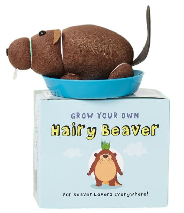 Grow Your own HAIRY BEAVER Chia Pet Plant - Funny Gag Novelty Home Gift