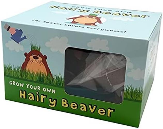 Grow Your own HAIRY BEAVER Chia Pet Plant - Funny Gag Novelty Home Gift