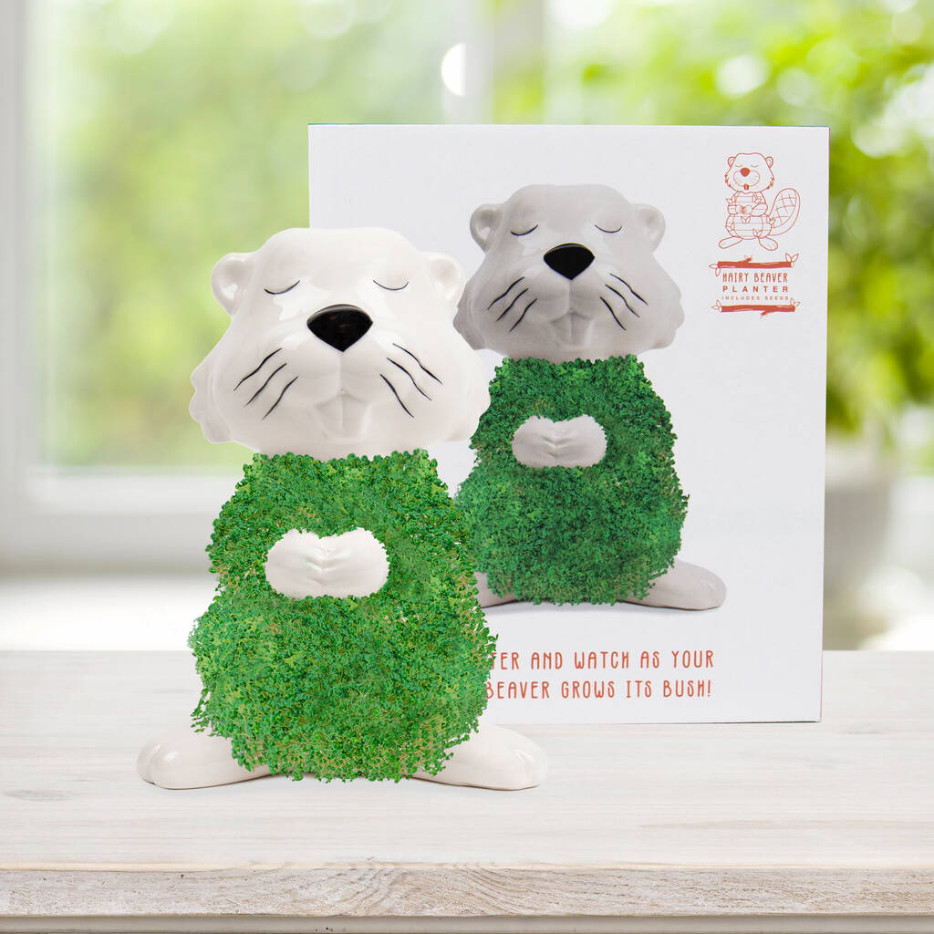 Hairy Beaver Ceramic Planter - Sprouting Chia Pet Plant Pot - Gift Republic