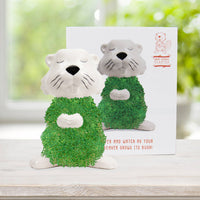 Hairy Beaver Ceramic Planter - Sprouting Chia Pet Plant Pot - Gift Republic