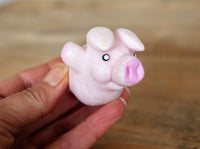 Grow A Pig Toy - Just Add Water 600% Larger! Piggy Child Stocking Stuffer