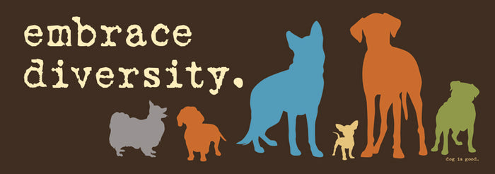 "Embrace Diversity" 🐶🐕😹 Funny Animal Bumper Car Fridge Magnet | Made in USA