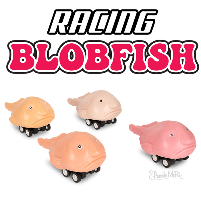 Racing Blobfish (set of 4) Funny Pull Back Race Fish Toys - Archie McPhee