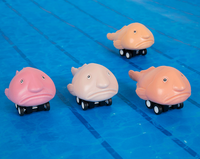 Racing Blobfish (set of 4) Funny Pull Back Race Fish Toys - Archie McPhee