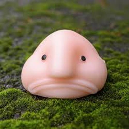 Sunny the Happy BLOBFISH - Squishy Stress Fidget Novelty Toy - Archie McPhee