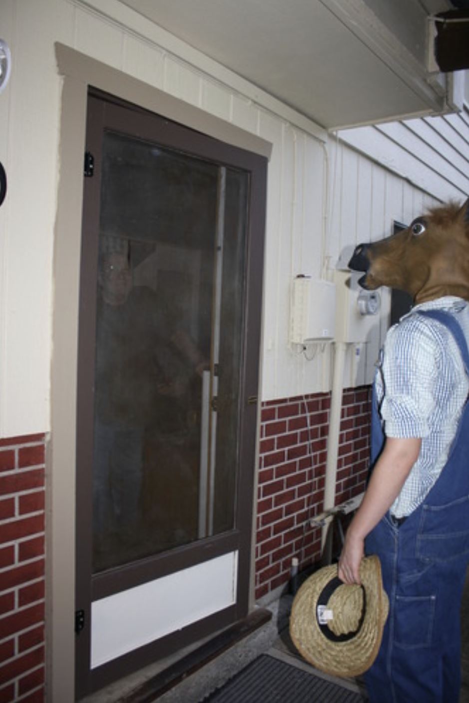 THE ORIGINAL HORSE MASK - Quality Latex Party Halloween Costume - Archie McPhee