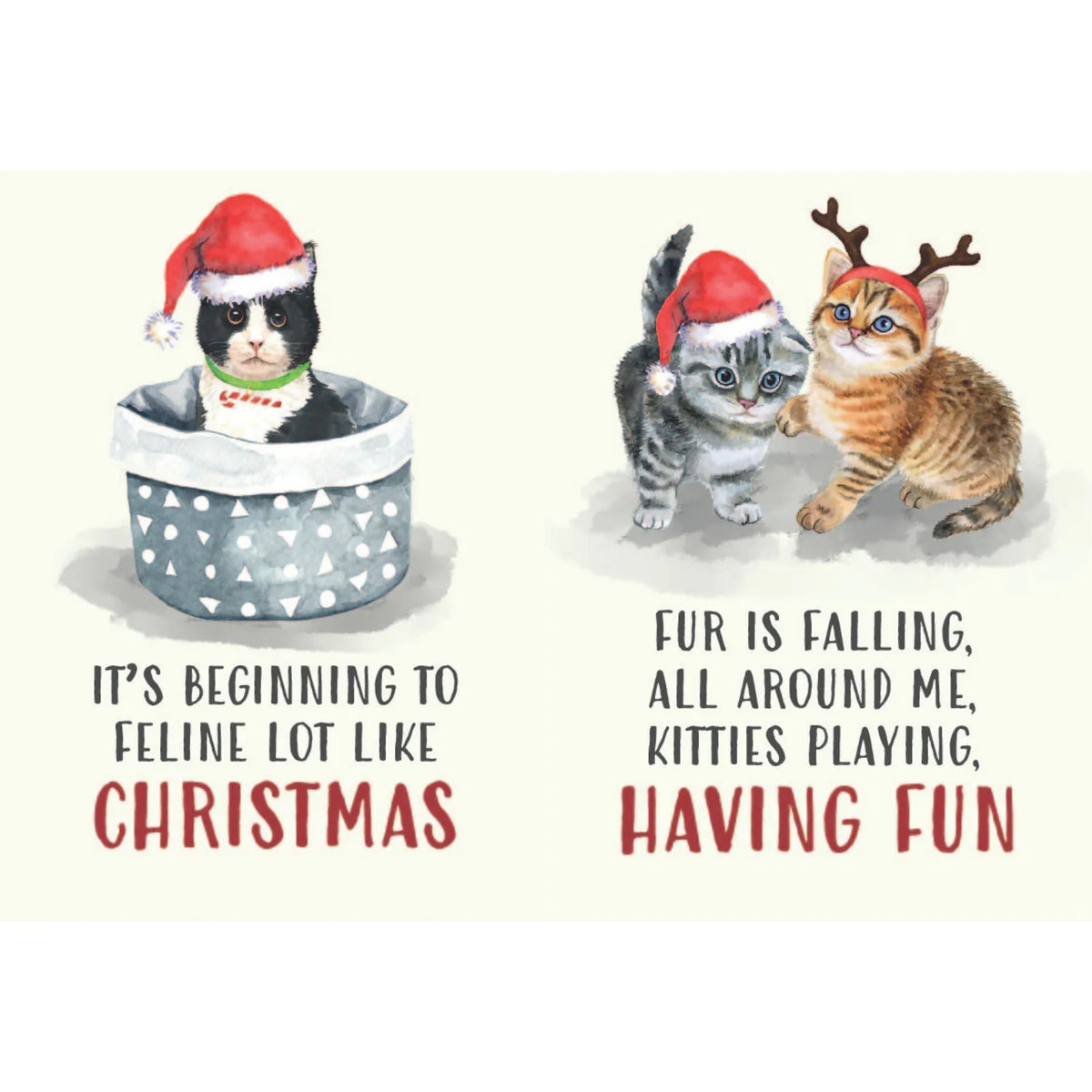 "All I Want For Christmas Is More Cats" Hardcover Book Gift for Cat Lovers!