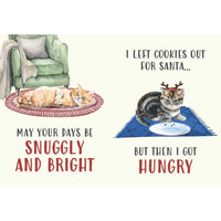 "All I Want For Christmas Is More Cats" Hardcover Book Gift for Cat Lovers!