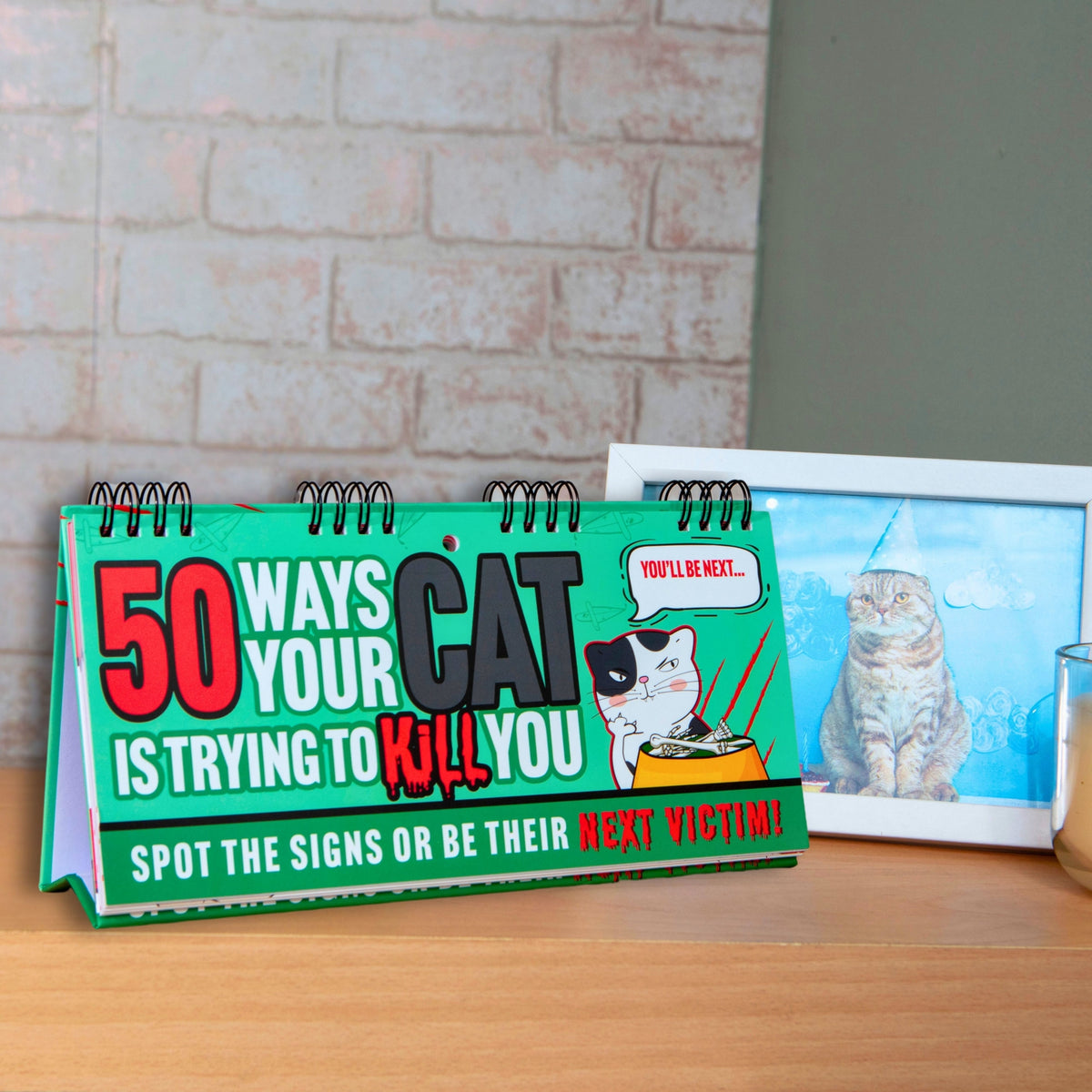 A hilarious cat-themed gift, this "50 Ways Your CAT is Trying to KILL YOU! Funny Desk Spiral Flip Book Signs" pairs perfectly with a framed photo of a cat wearing a party hat—a perfect gift for cat lovers.