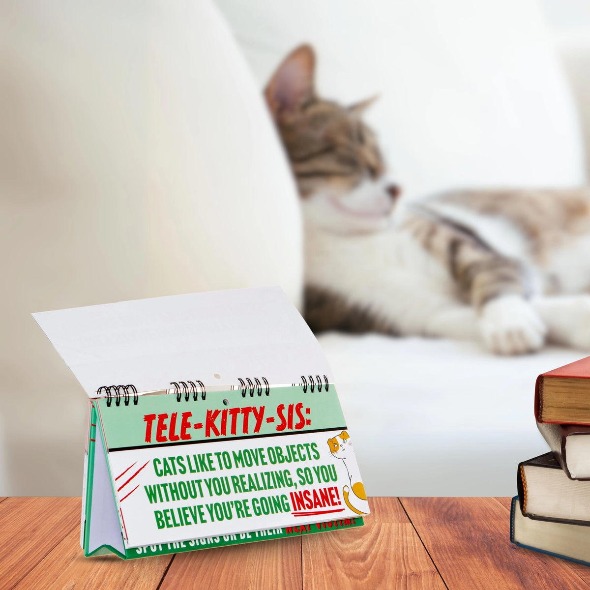 This cat-themed desk calendar, titled "50 Ways Your CAT is Trying to KILL YOU! Funny Desk Spiral Flip Book Signs," is perfect for cat lovers. It features a humorous quote about cats moving objects and showcases a relaxed feline lounging on a white sofa in the background. Ideal as a flip book, it makes for a delightful cat-themed gift.