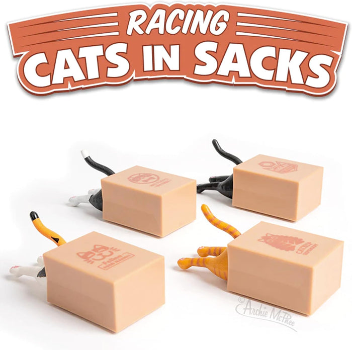 Racing Cats in Sacks (set of 4) Funny Pull Back Kitty Cat Toys - Archie McPhee