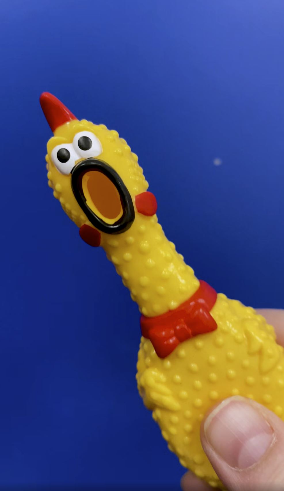 Case of 12 – 7" Rubber Chicken Pens 🐔 🖊️ (Yes… This Is Real Life😂) Funny Gag