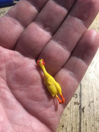 ITTY BITTY Rubber Chickens - 12 Piece Tiny Party Toy Decorations ~ Archie McPhee