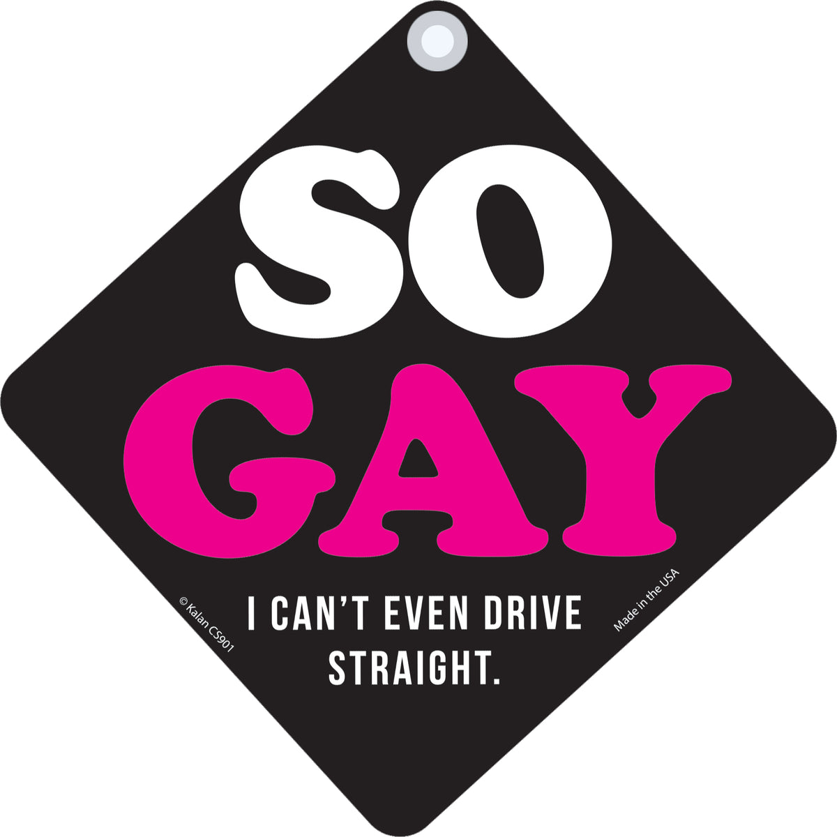 "SO GAY Can't Drive Straight" Car Window Sign Plastic Decal Suction - USA Made