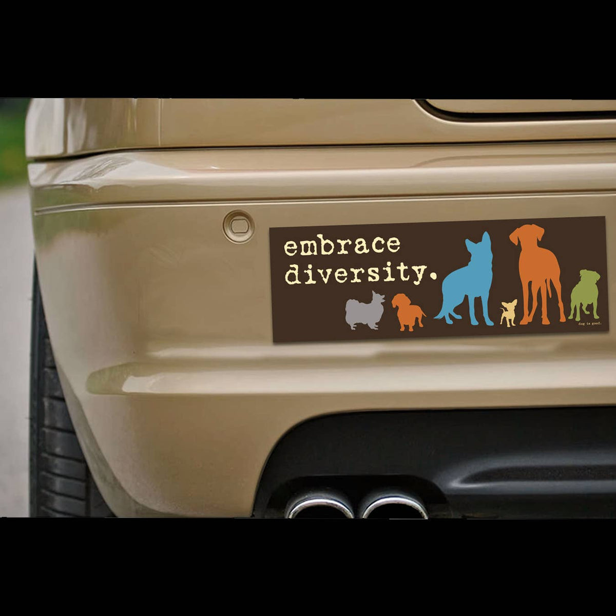 "Embrace Diversity" 🐶🐕😹 Funny Animal Bumper Car Fridge Magnet | Made in USA
