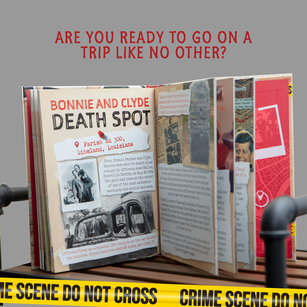 💀 Dark Tourism Guidebook True Crime Book Infamous Places Creepy History Gift 🔎🕵️