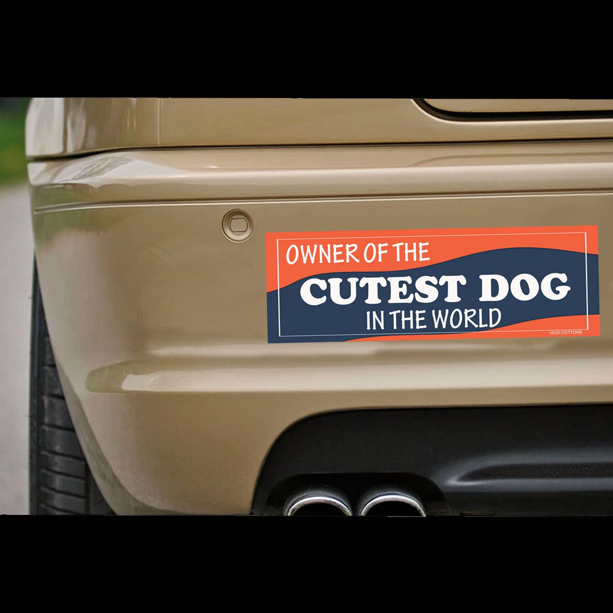 "Owner of Cuttest Dog In The World" 🌍 🐶 Funny Bumper Car Magnet - Made in USA