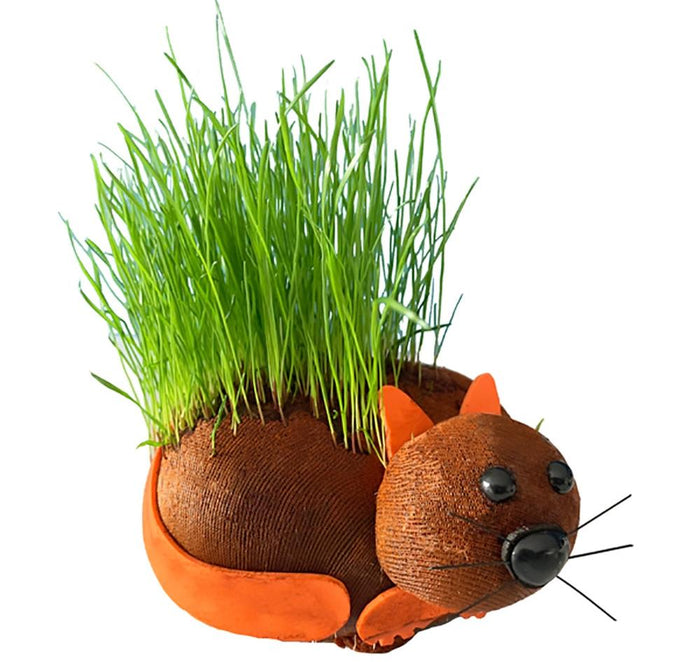 GATO COÑO PELUDO - Cultiva tu planta de chía para mascotas - Divertido regalo de broma para adultos