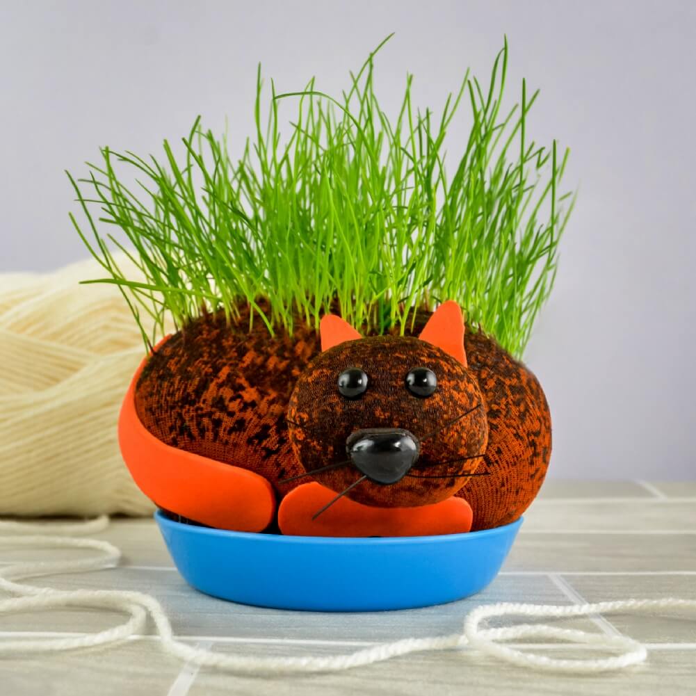 GATO COÑO PELUDO - Cultiva tu planta de chía para mascotas - Divertido regalo de broma para adultos