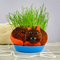 CHATTE POILUE - Cultivez votre plante de chia pour animaux de compagnie - Cadeau de blague amusant pour adulte