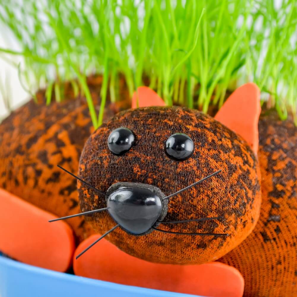 CHATTE POILUE - Cultivez votre plante de chia pour animaux de compagnie - Cadeau de blague amusant pour adulte