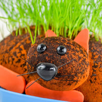 GATO COÑO PELUDO - Cultiva tu planta de chía para mascotas - Divertido regalo de broma para adultos