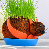 HAIRY PUSSY CAT - Grow Your Chia Pet Plant - Fun Adult Gag Prank Joke Gift