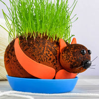 GATO COÑO PELUDO - Cultiva tu planta de chía para mascotas - Divertido regalo de broma para adultos