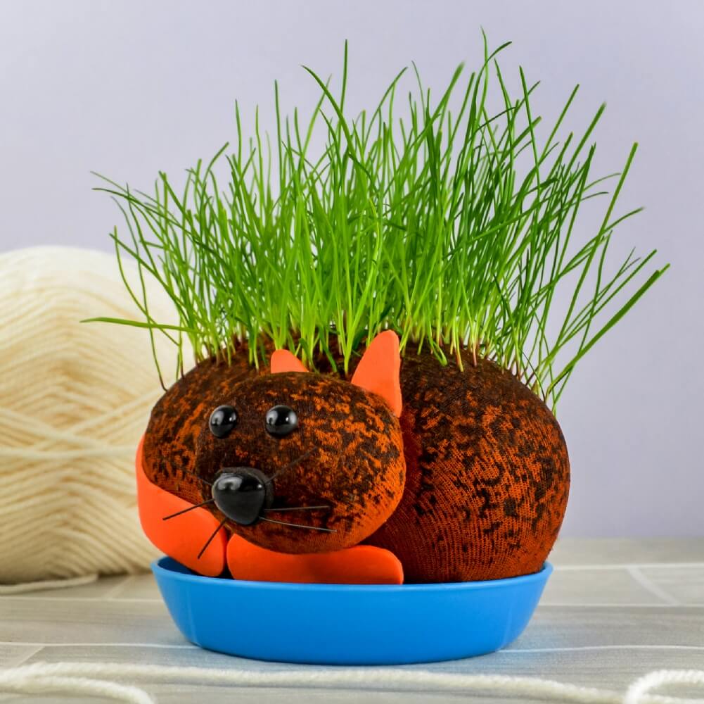 GATO COÑO PELUDO - Cultiva tu planta de chía para mascotas - Divertido regalo de broma para adultos