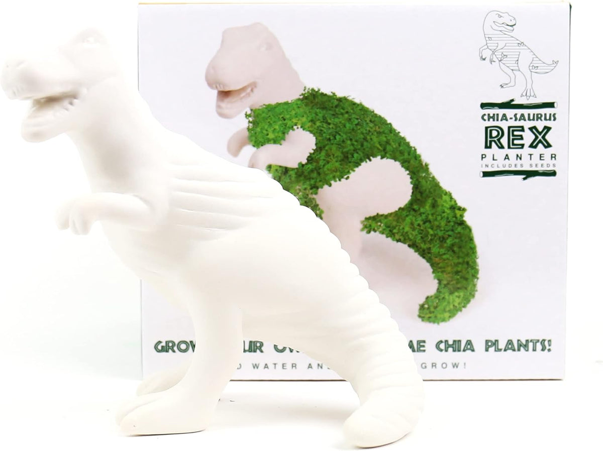 t rex plant pot T-Rex Dinosaur Ceramic Planter