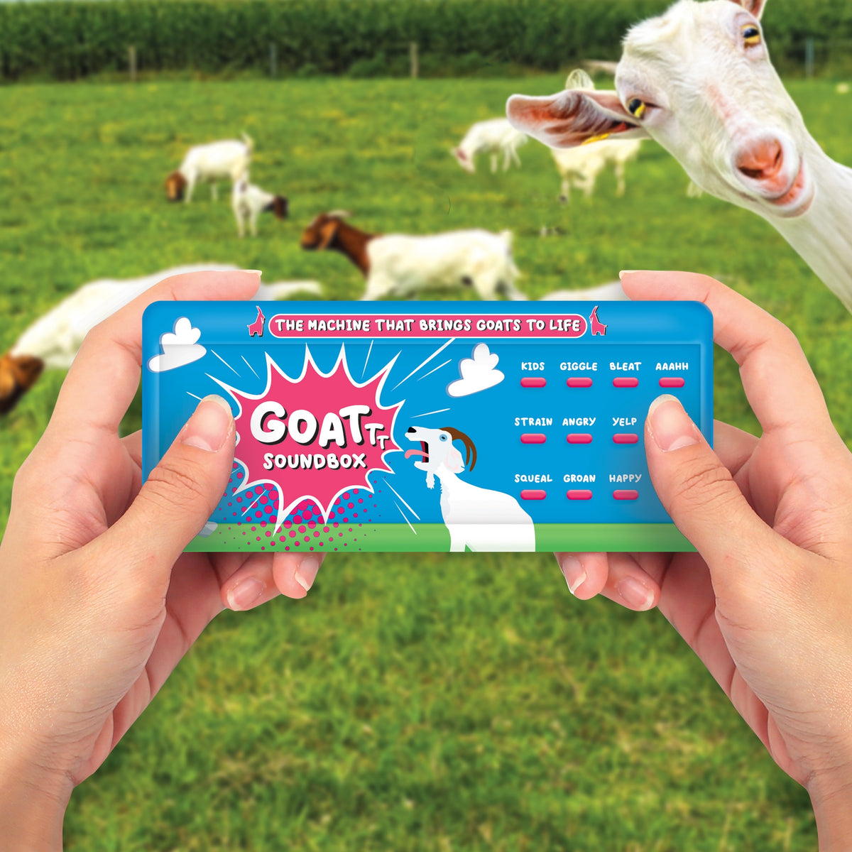 Goat Usb Goat Sound Box - 12 Hilarious Goat Noises! 🐐 – Giggle Novelties