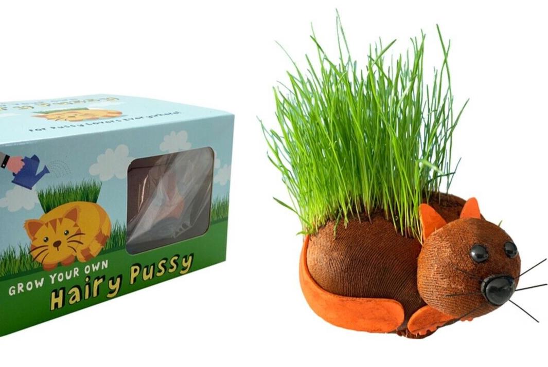 HAIRY PUSSY CAT - Grow Your Chia Pet Plant - Fun Adult Gag Prank Joke Gift