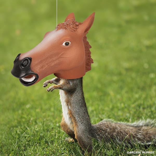 Horse Head Squirrel Feeder - Wildlife Garden Outdoor Home Gift ~ Archie McPhee